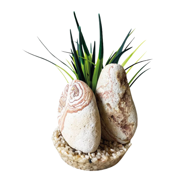 Blu Bios Pietra Decorativa con Pianta per Acquari - Rainbow Stone - SPEDIZIONE GRATIS DA 39€