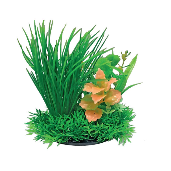 Blu Bios Dekor: Piante Decorative per Acquario - Mix Tropicale - Spedizione Gratuita a Partire da 39€