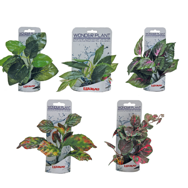 Piante finte decorative Wonder Amtra - 0,15-0,18 m - Plant serie B - S