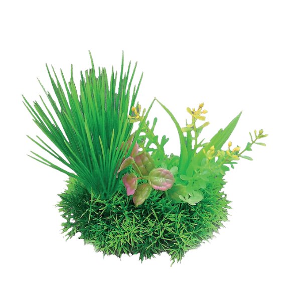 Blu Bios Dekor: Piante Decorative per Acquari - Bouquet Mini - Spedizione Gratuita da 39€