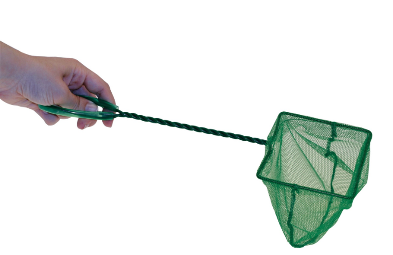 Retino per Acquari Amtra - Verde - 0,12 x 0,1 m - Manico Lungo - Spedizione Gratuita da 39€