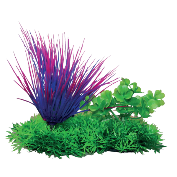 Blu Bios Dekor: Piante Decorative per Acquari - Spedizione Gratuita da 39€