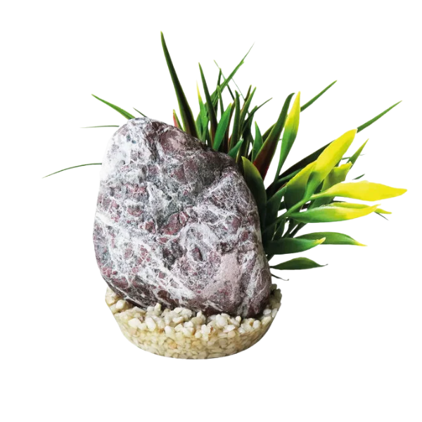 Blu Bios Pietra decorativa con pianta per acquari - zebra stone - SPED