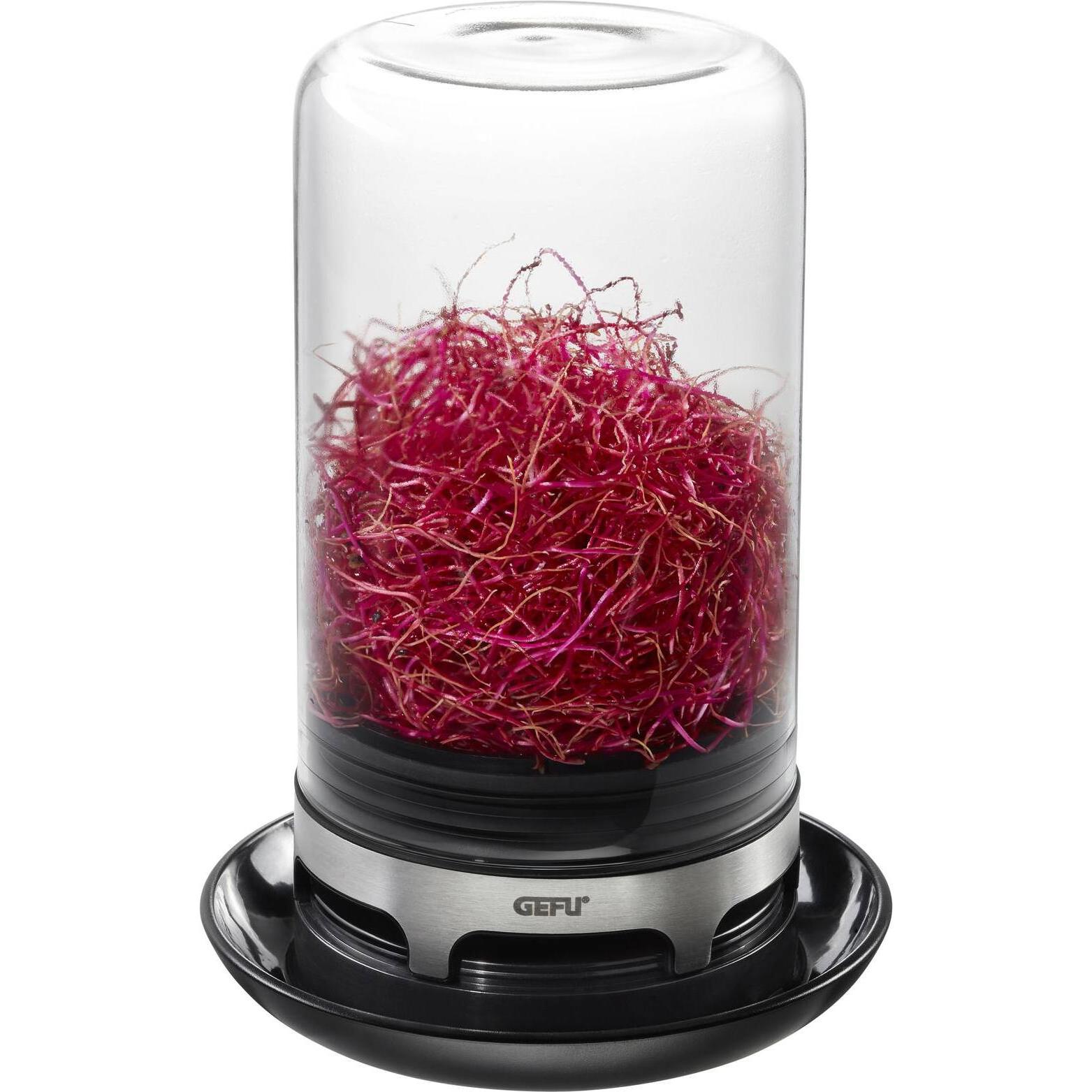 GEFU: Vaso per Germogli + Vassoio per Coltivazione di Bivita Alfalfa