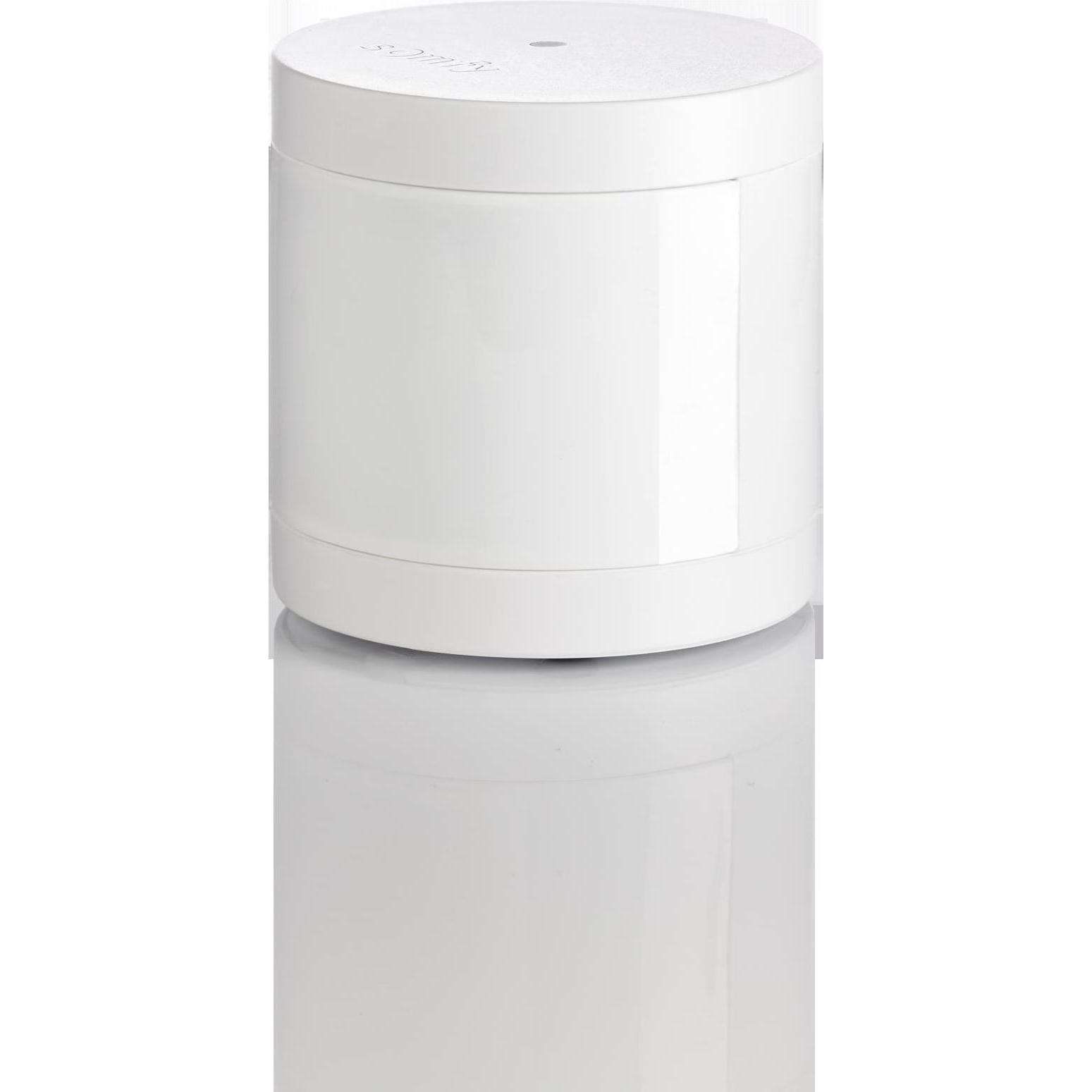 Somfy: Rilevatore di Movimento (7m) per la Sicurezza Domestica