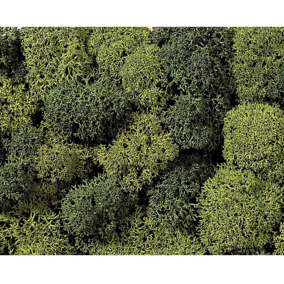 Noch Moss 8621: Muschio Decorativo Verde Chiaro e Verde Scuro