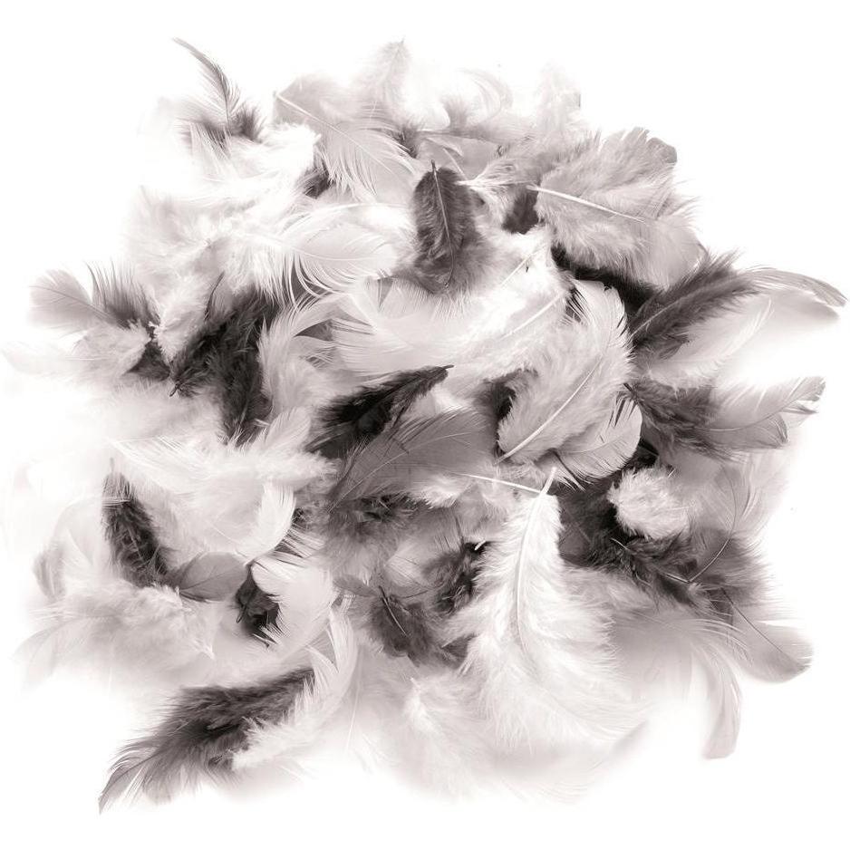 Glorex Penne deco: Mix di Piume Decorative