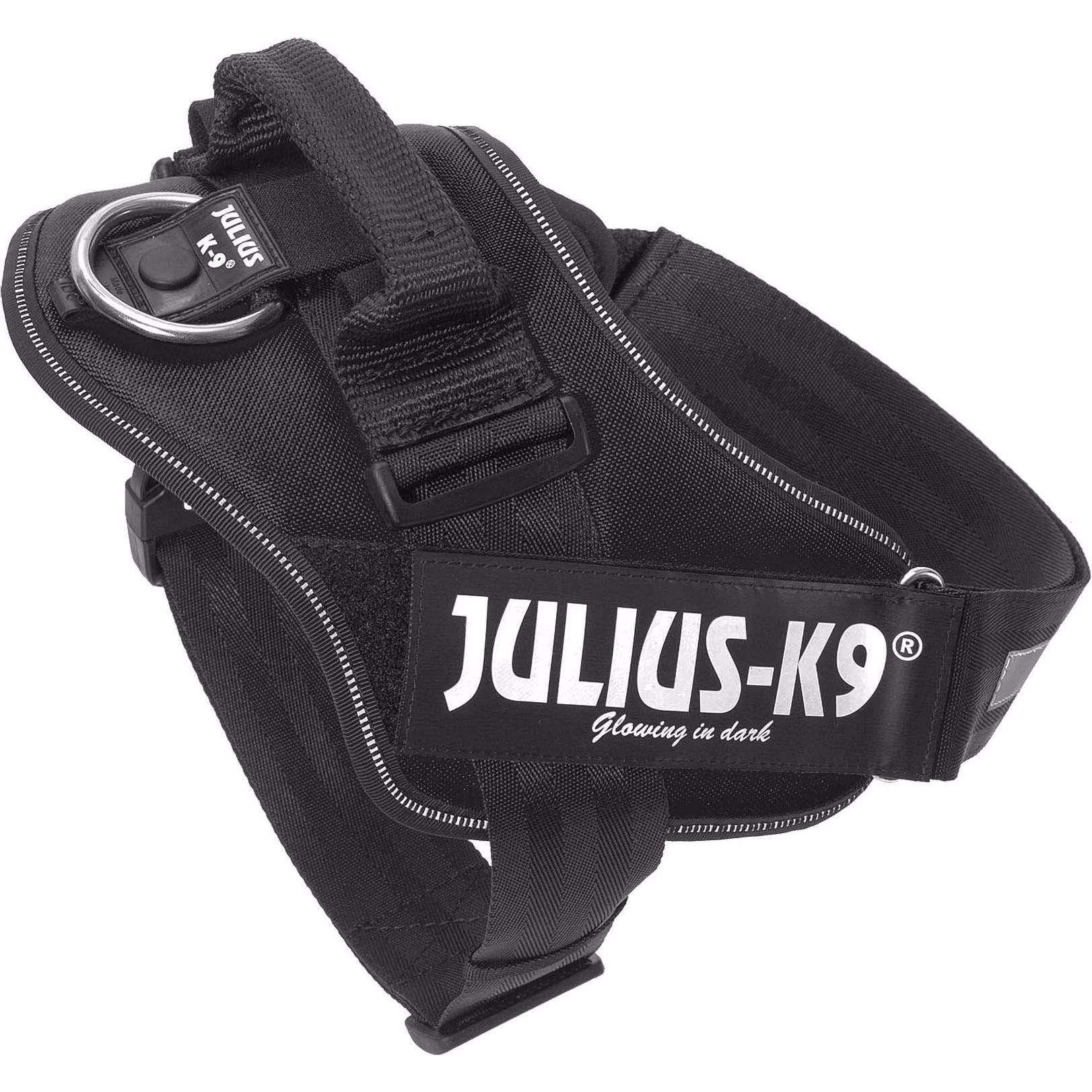 Julius-K9 Cablaggio di Alimentazione IDC (L, XL, Cane, Generale), Collare + Guinzaglio