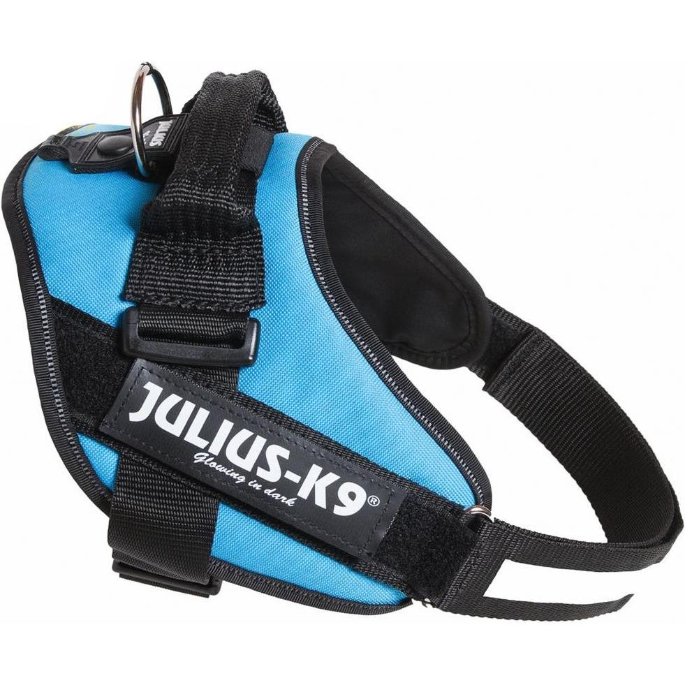 Giubbotto Julius-K9 IDC Power Harness Aquamarine Taglia 1: Circonferenza 63-85cm (1, Cane, Sport Cane), Collare + Guinzaglio
