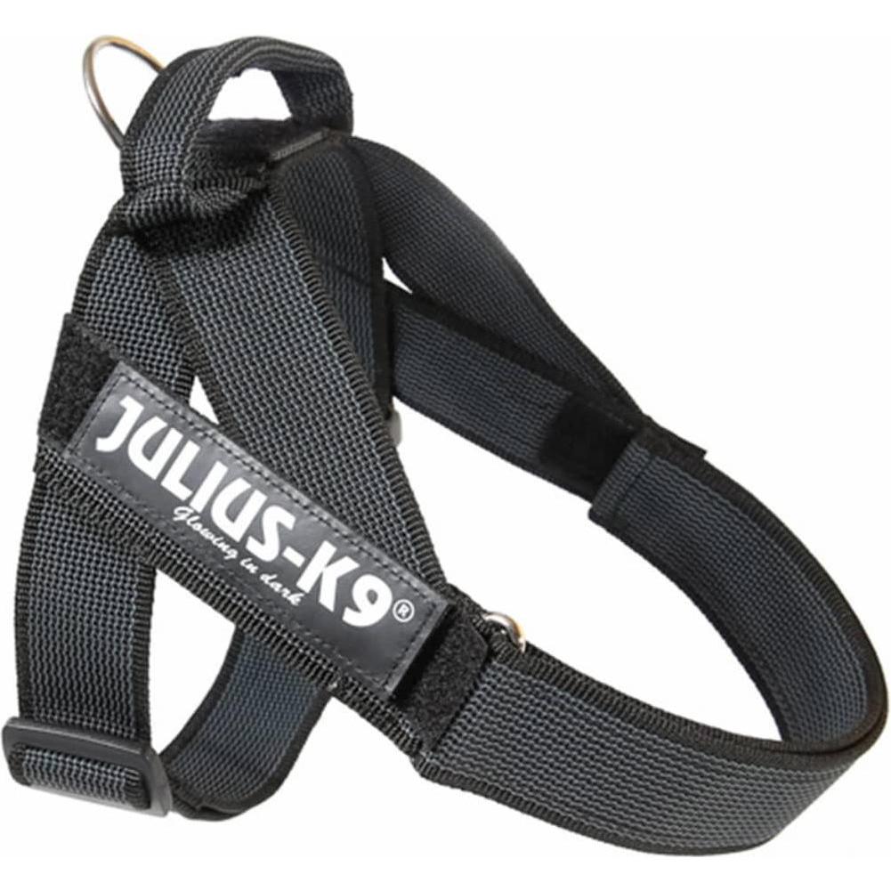 Julius-K9 Imbracatura con Fettuccia IDC - Taglia (1, Cane, Sport Cane), Collare + Guinzaglio