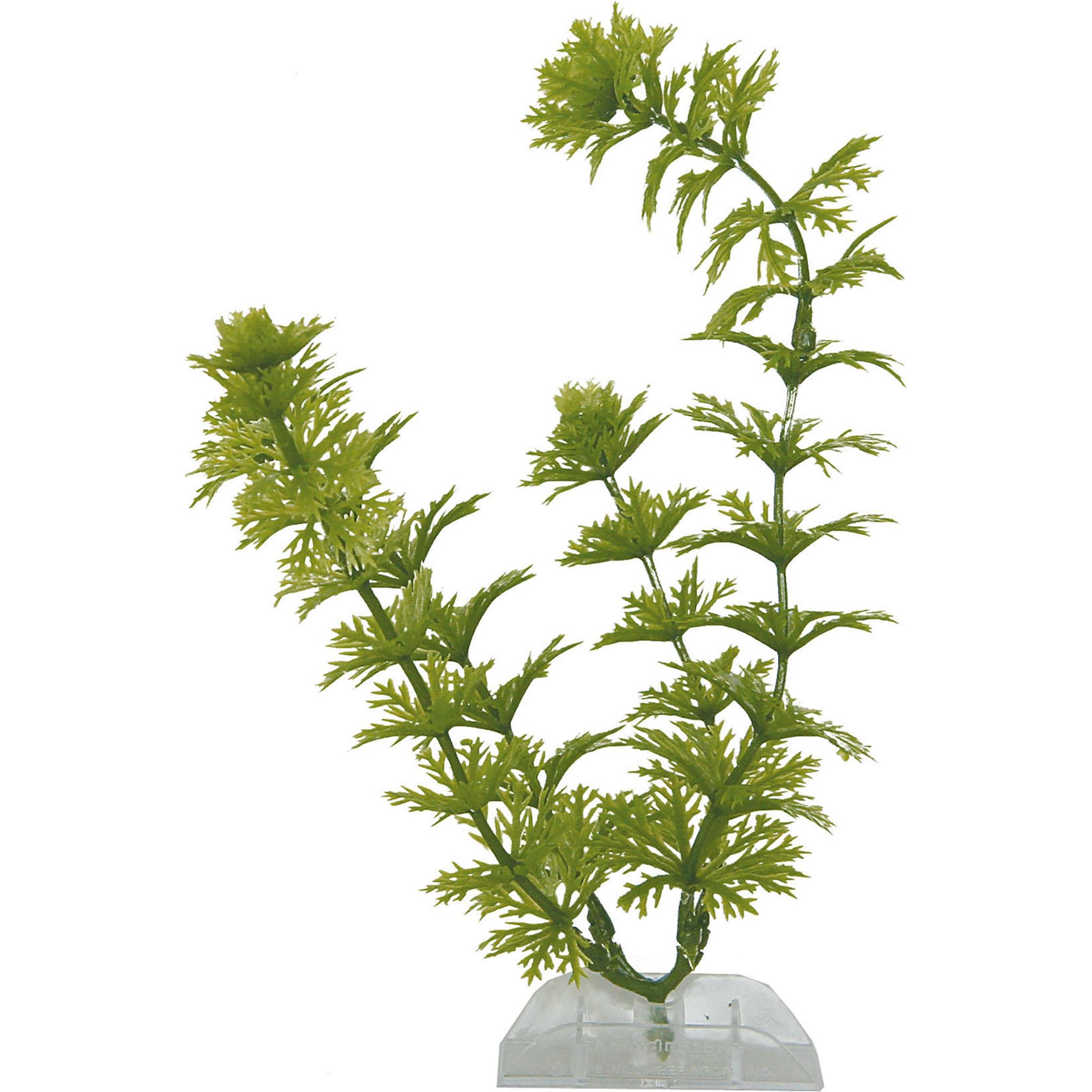 Tetra Plantastics Ambulia 36 (Piante, Piante): Decorazione per Acquario