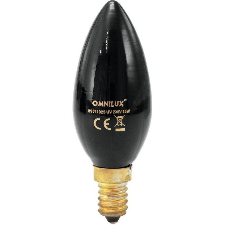 Omnilux Lampada UV E14 C35 Lampada a candela 4 (40 W, E14), Lampadine + Fari Illuminotecnica