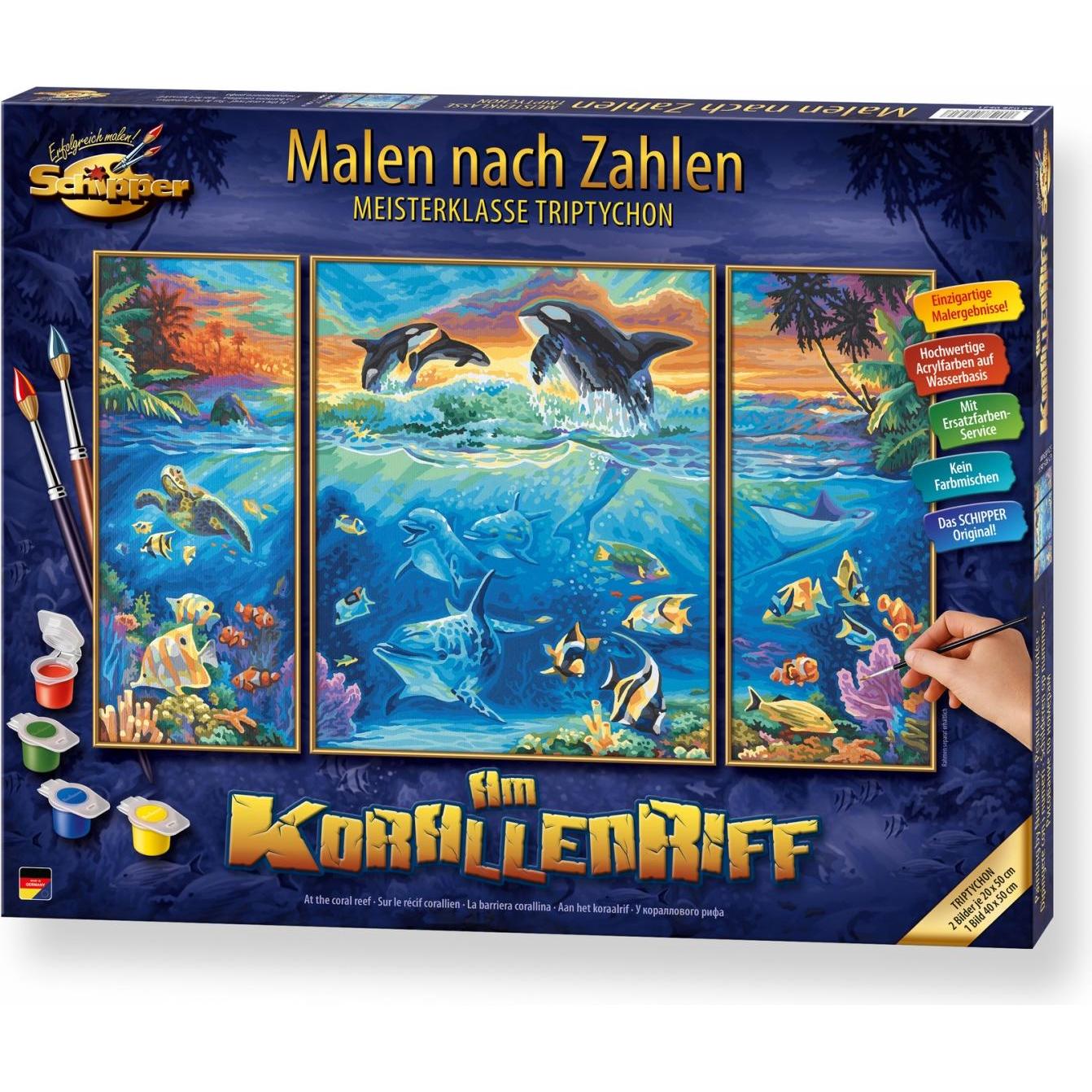 Schipper MNZ: Un Sogno Sulla Barriera Corallina