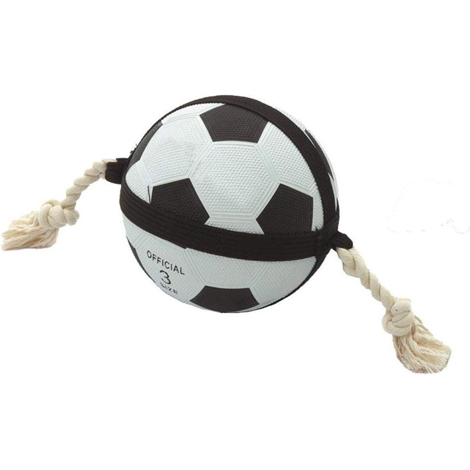 Karlie Actionball (Palla Giocattolo per Cani): Gioco Interattivo