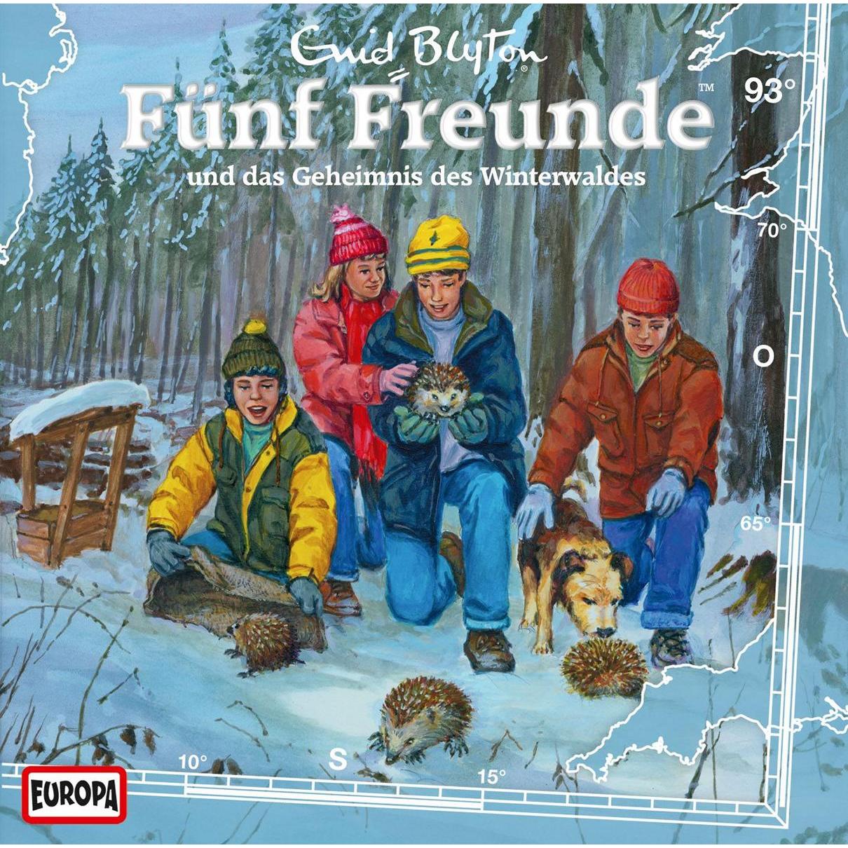 Cinque amici 093 e il segreto della foresta invernale, Audiolibri di Enide Blyton
