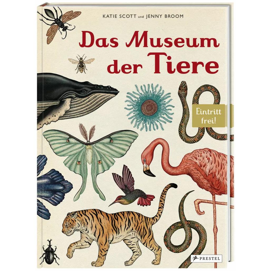 Das Museum der Tiere: Libro per bambini di Jenny Broom e Katie Scott