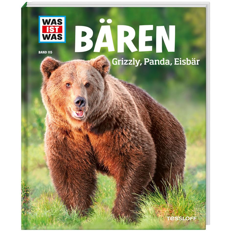 Bären. Grizzly, Panda, Eisbär – Kinderbuch von Alexandra Mayer