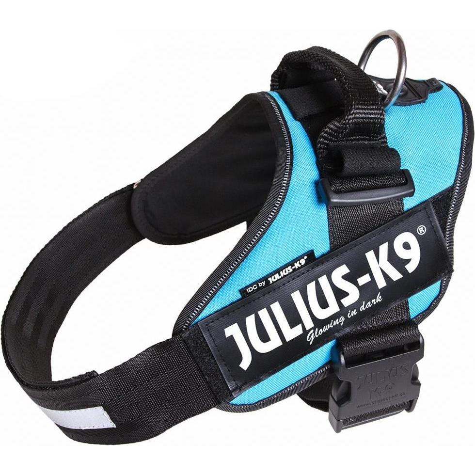 Julius-K9 IDC power harness acquamarina taglia Mini: Collare + Guinzaglio per Cani (Mini1, Generale)