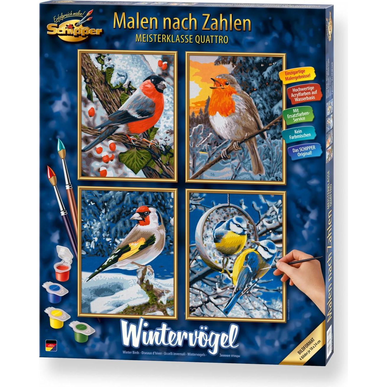 Schipper Uccelli Invernali MNZ: Masterclass di Pittura Numerata