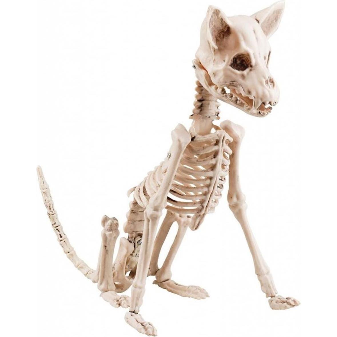 Boland Scheletro posteriore: l'orrore a portata di mano