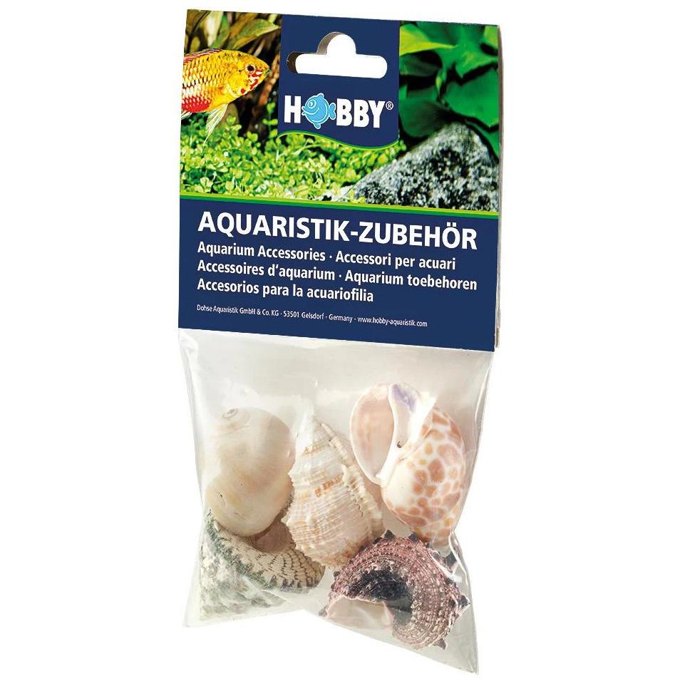 Hobby Set di Conchiglie di Mare: Decorazione per Acquario e Abitazioni per Granchi
