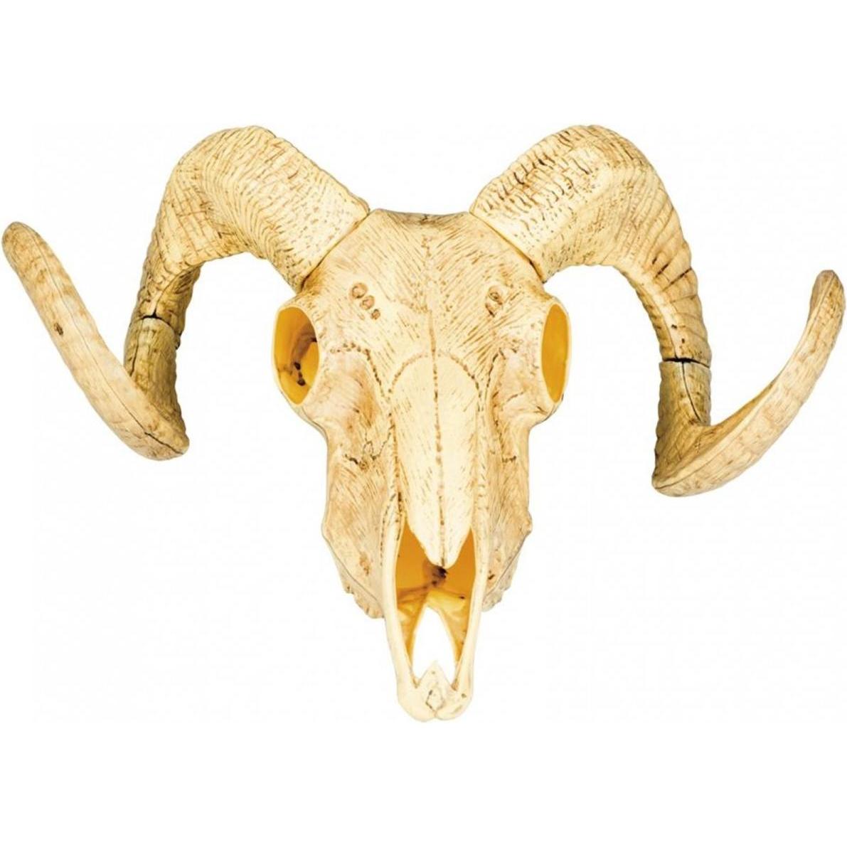 Boland Decorazione cranio animale