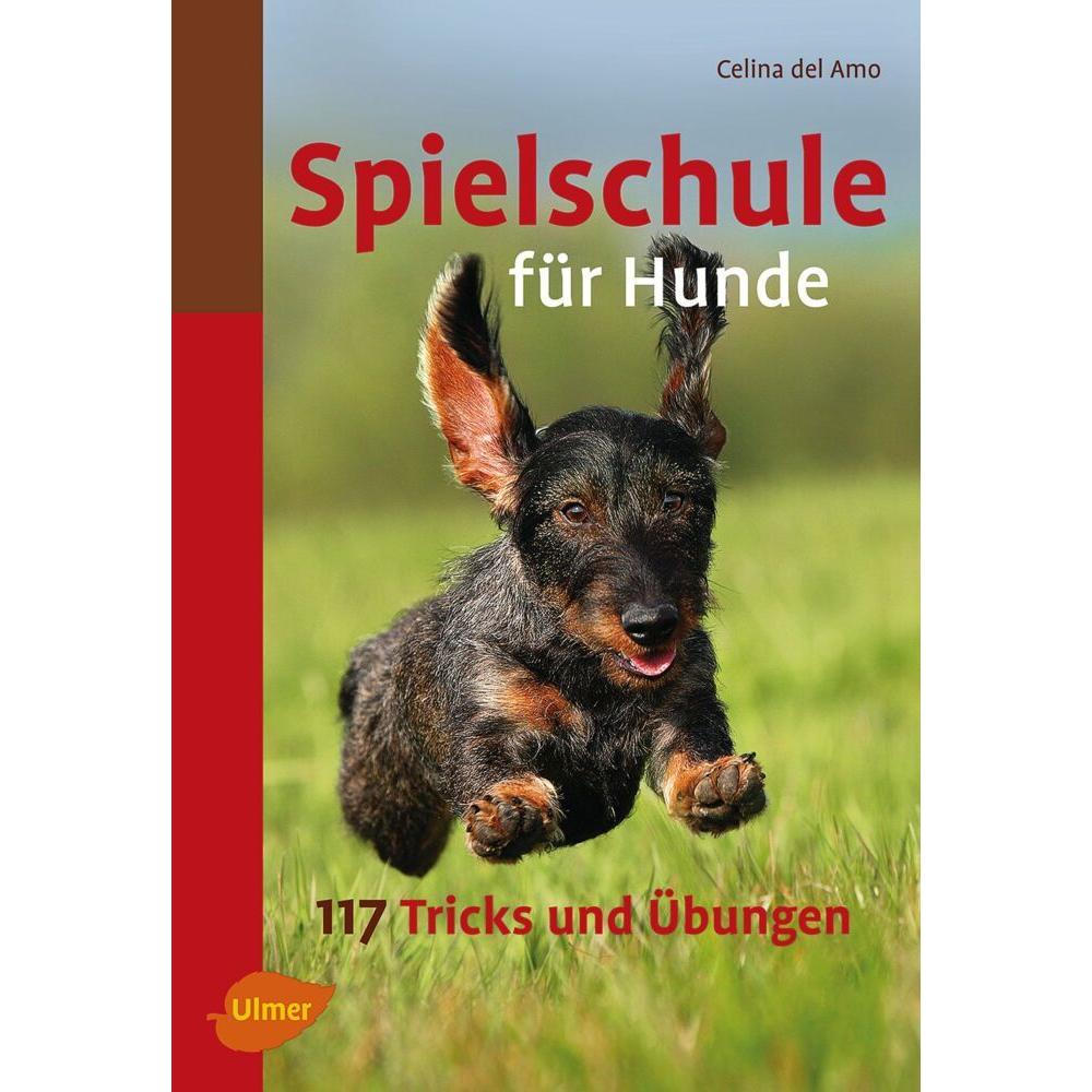 Spielschule für Hunde, Manuale di Celina DelAmo