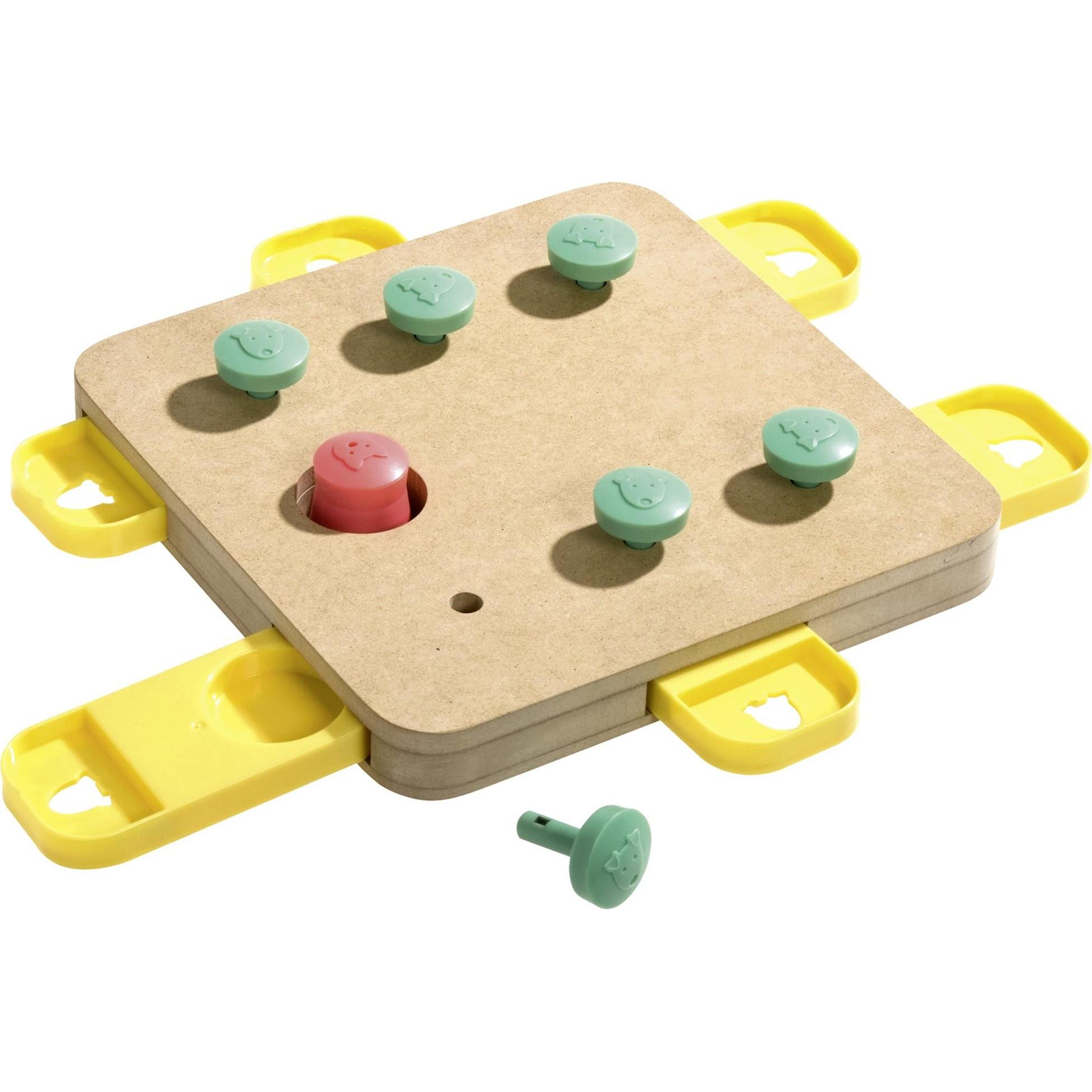 Karlie Treno del Cervello per Cani (Gioco di Intelligenza)