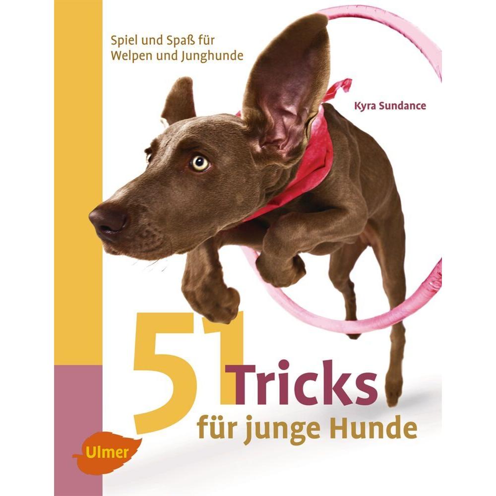 51 Tricks per Giovani Cani: Manuale di Kyra Sundance