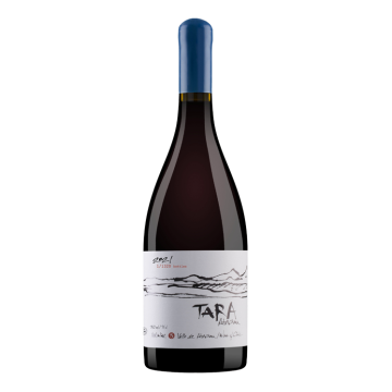 Red Wine N°3 - Garnacha 2021 - Tara