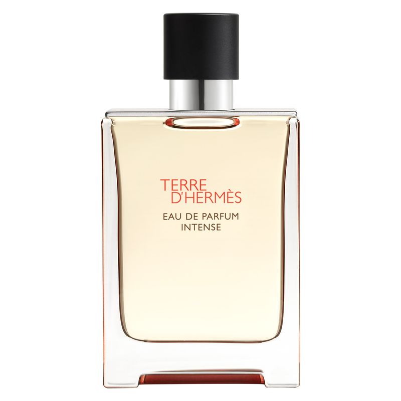 Hermès Terre d'Hermès Eau de Parfum Intense Spray 100 ml