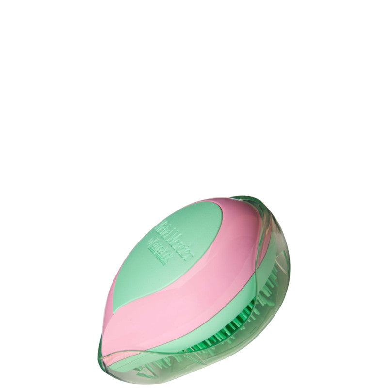 Spazzola Compatta MICHEL MERCIER per Capelli Normali