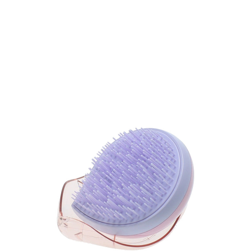 Spazzola Compatta MICHEL MERCIER per Capelli Fini