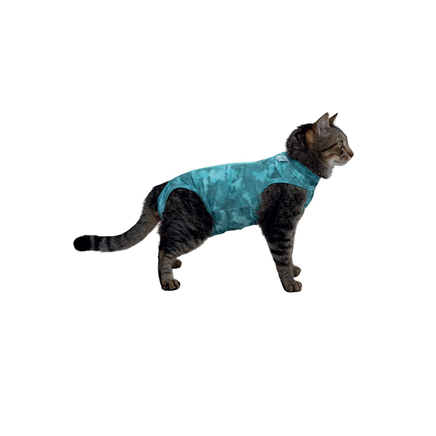 Farm Company Tutina Post Operatoria Gatto - 30 cm