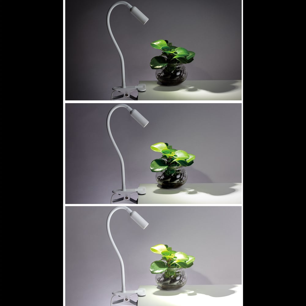 Lampada a Pinza LED USB Bianca