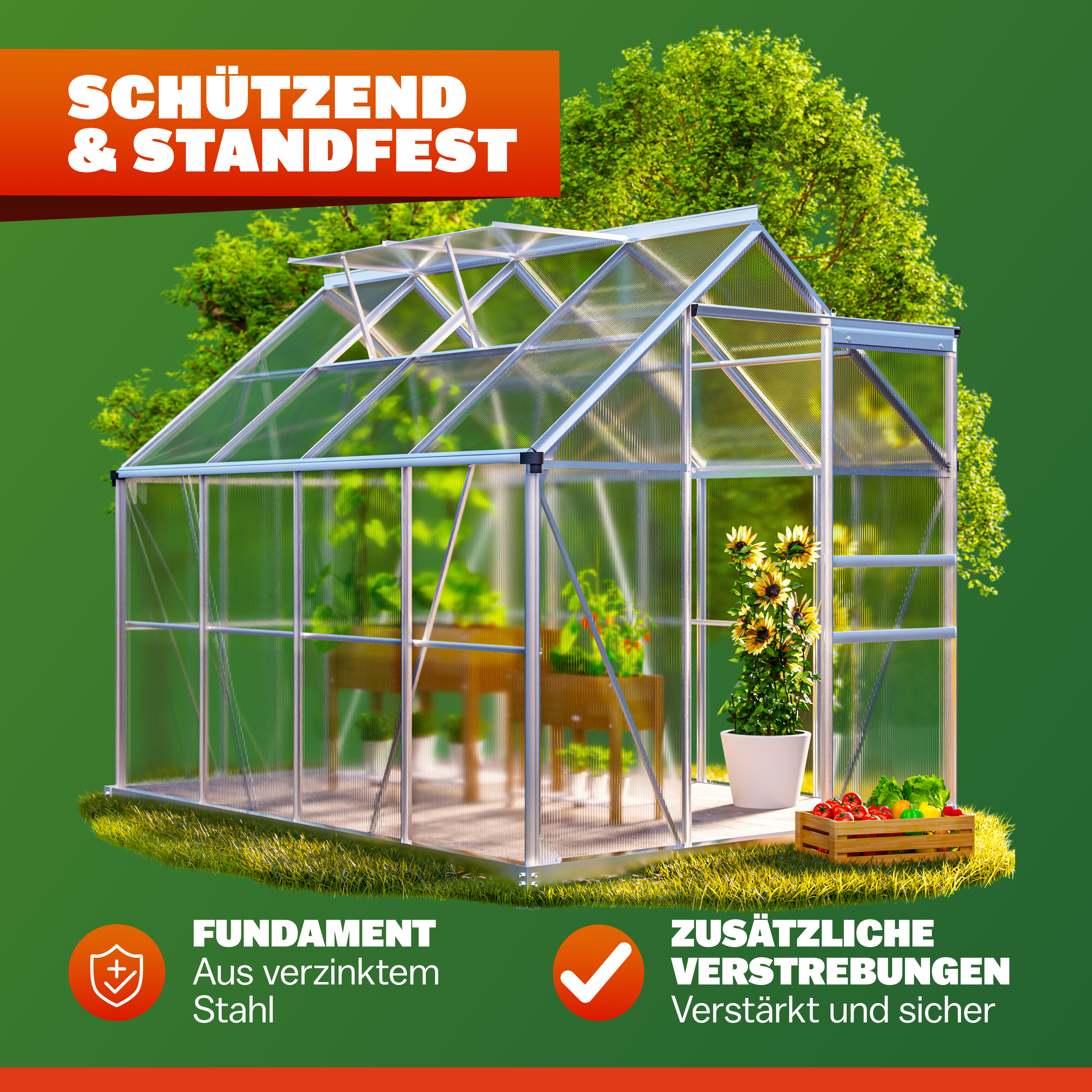 Serra da Giardino Alluminio 250x190x195cm con Fondamenta