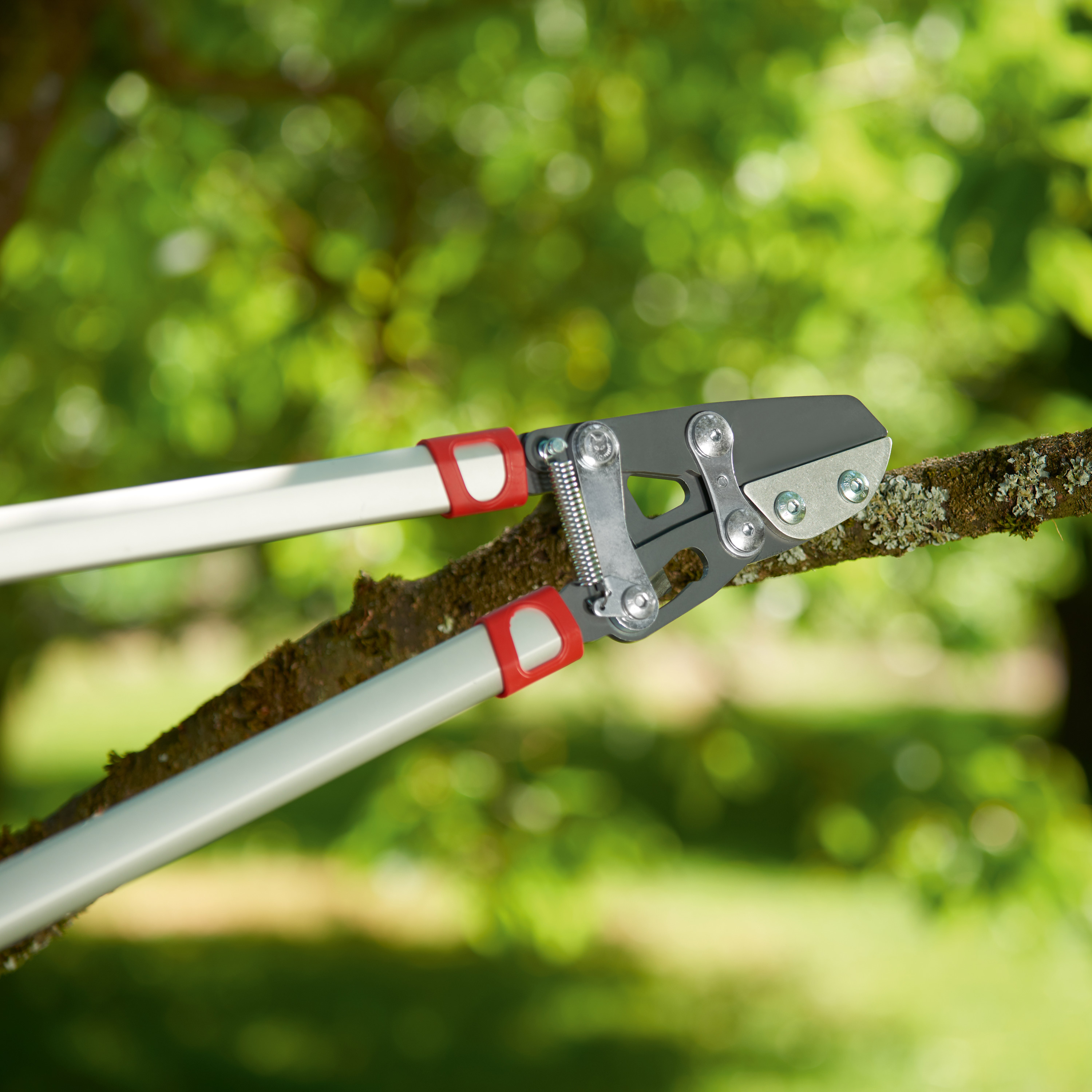 Forbice da Pota WOLF Garten Power Cut RS 800 V