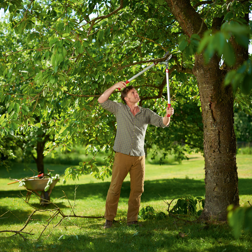 Forbice da Pota WOLF Garten Power Cut RS 800 V