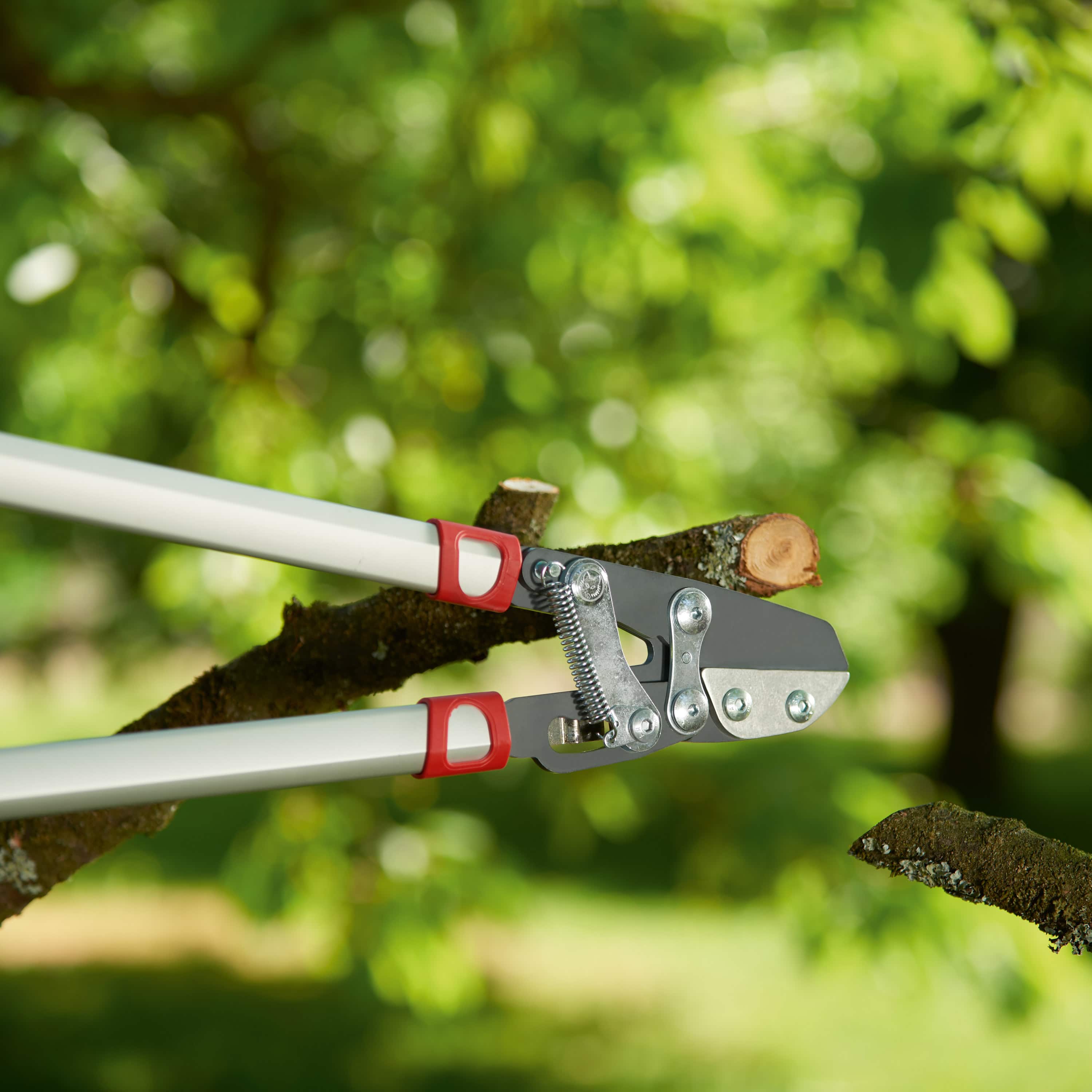 Forbice da Pota WOLF Garten Power Cut RS 800 V