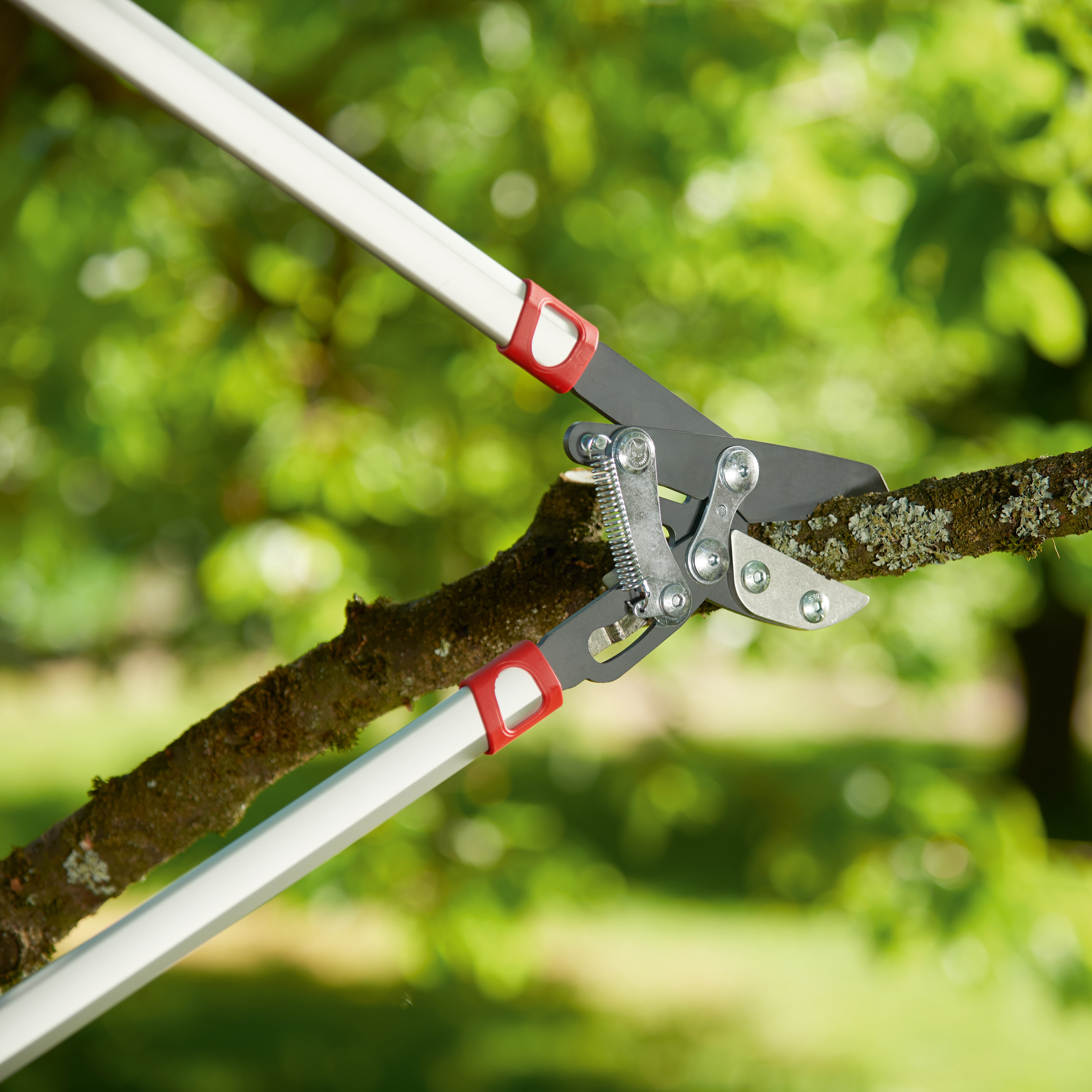 Forbice da Pota WOLF Garten Power Cut RS 800 V