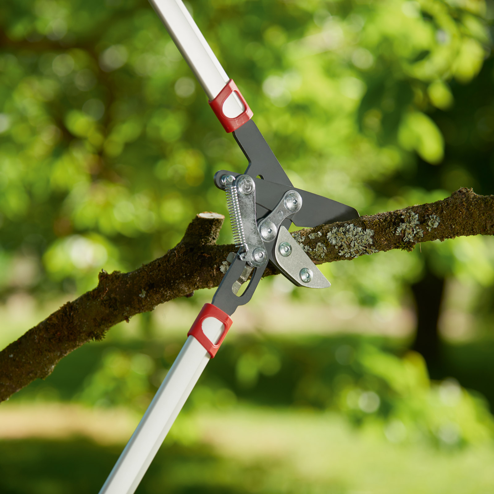 Forbice da Pota WOLF Garten Power Cut RS 800 V