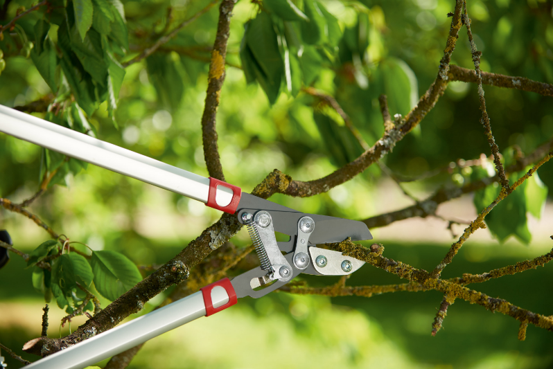 Forbice da Pota WOLF Garten Power Cut RS 800 V