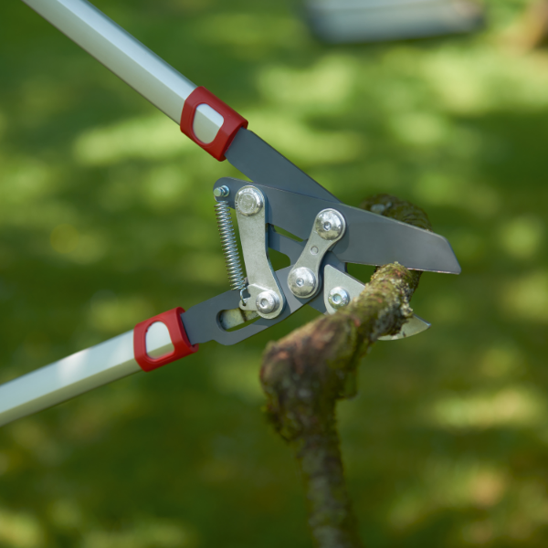 Forbice da Pota WOLF Garten Power Cut RS 800 V