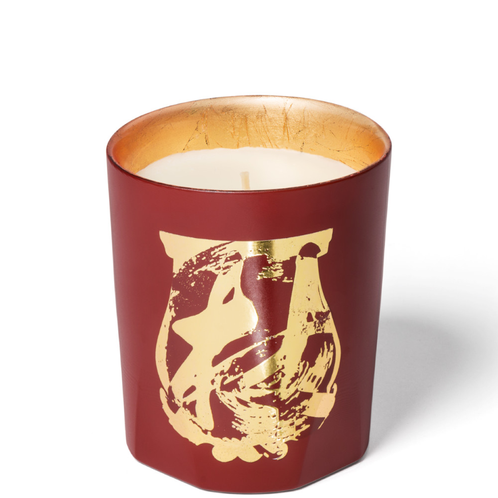 Trudo X Maître Tseng