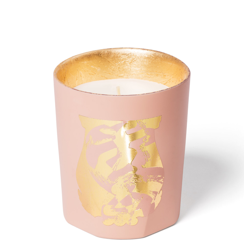 Trudon X Maître Tseng