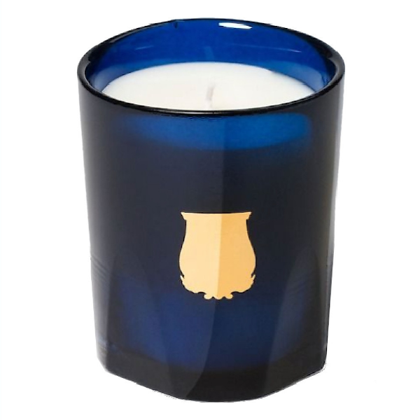 Reggio Mandarine: Un Tesoro Mediterraneo