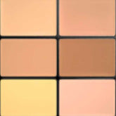 Mac Cosmetics (Pro Conceal and Correct Palette) 6 g - Shade: Medium